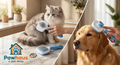 Pawhaus™ Self-Cleaning Pet Grooming Brush